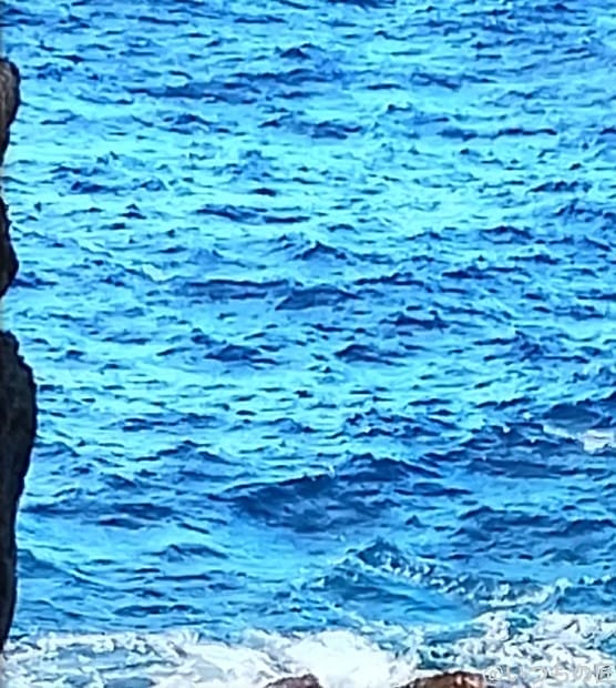 nubia s 5g で撮影した風景写真 | ガジェットレビューの匠 nubia S 5G カメラ nubia S 5G で撮影した風景写真