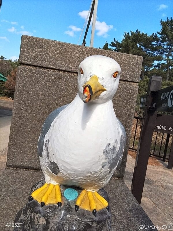 nubia s 5g インカメラで撮影した写真 | ガジェットレビューの匠 nubia S 5G カメラ nubia S 5G インカメラで撮影した写真