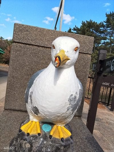 nubia s 5g インカメラで撮影した写真 | ガジェットレビューの匠 nubia S 5G カメラ nubia S 5G インカメラで撮影した写真