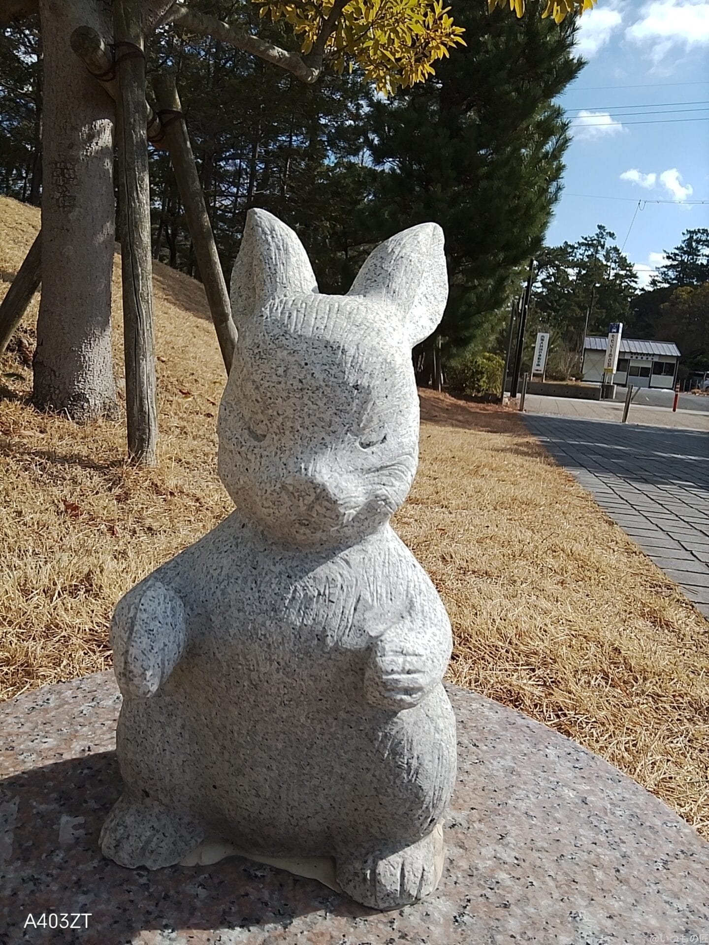 nubia s 5g インカメラで撮影した写真 | ガジェットレビューの匠 nubia S 5G カメラ nubia S 5G インカメラで撮影した写真