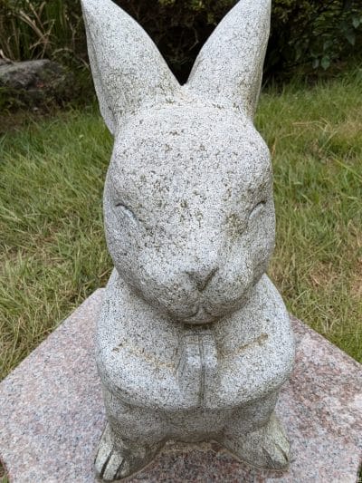 google pixel 9でインカメラ撮影した写真 | ガジェットレビューの匠 nubia Flip 2 カメラ Google Pixel 9でインカメラ撮影した写真