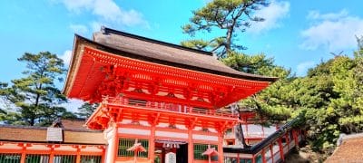 nubia s 5g カメラで撮影した風景写真 | ガジェットレビューの匠 nubia Flip 2 カメラ nubia S 5G カメラで撮影した風景写真