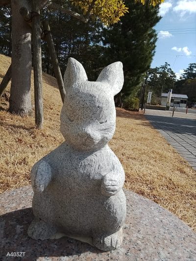 nubia s 5gでインカメラ撮影した写真 | ガジェットレビューの匠 nubia Flip 2 カメラ nubia S 5Gでインカメラ撮影した写真