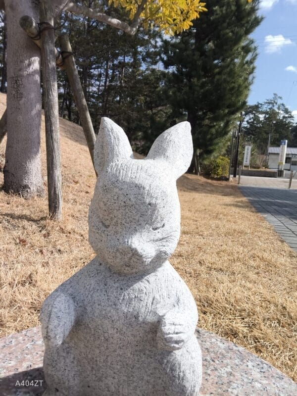 nubia flip 2 インカメラで撮影した写真 | ガジェットレビューの匠 nubia Flip 2 レビュー nubia Flip 2 インカメラで撮影した写真