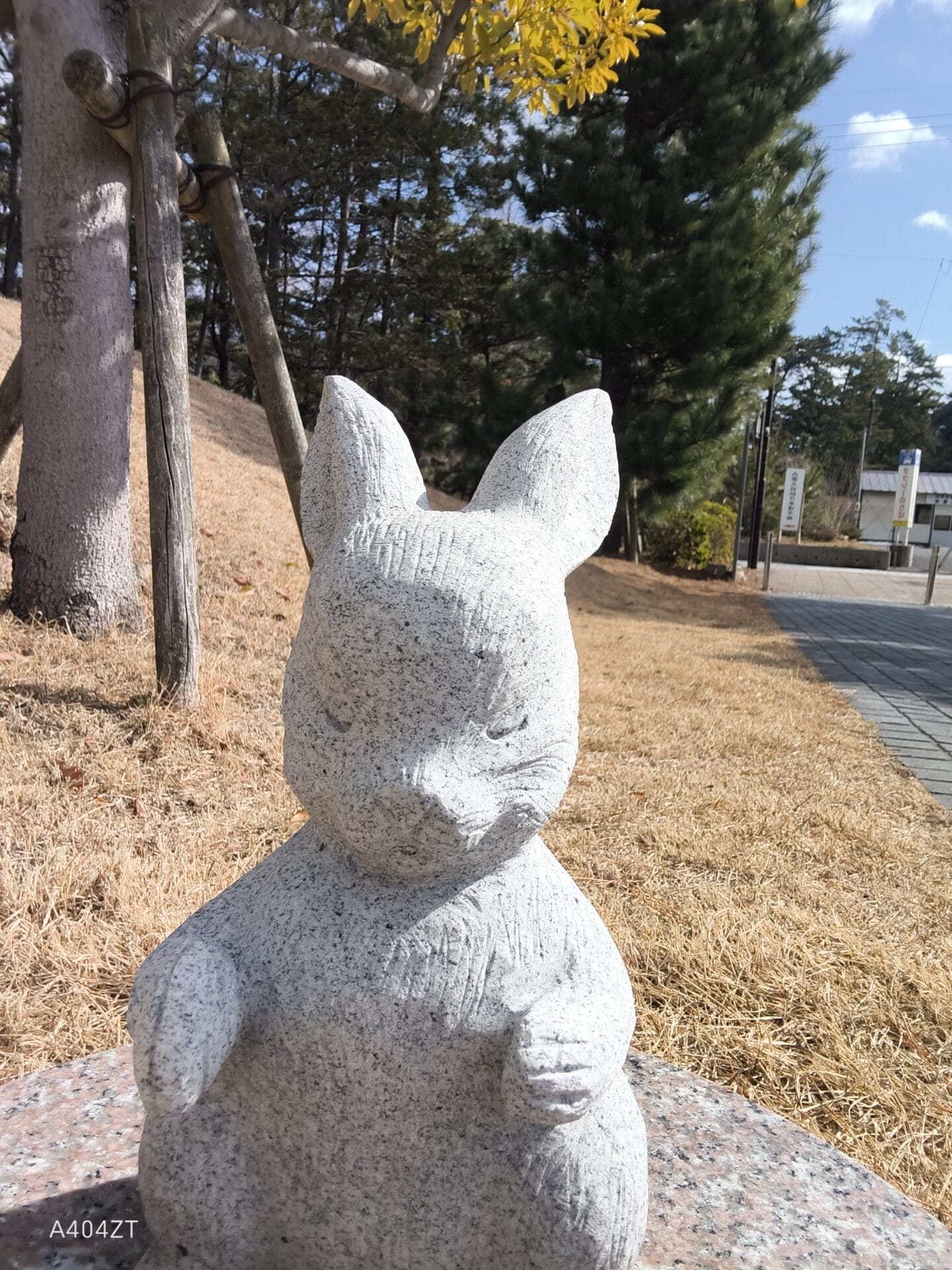 nubia Flip 2 カメラ
nubia Flip 2のインカメラで撮影した写真