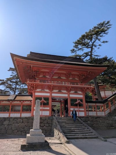 google pixel 9aで撮影した風景写真 | ガジェットレビューの匠 Google Pixel 9a カメラ Google Pixel 9aで撮影した風景写真