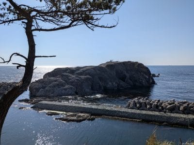 google pixel 9aで撮影した風景写真 | ガジェットレビューの匠 Google Pixel 9a カメラ Google Pixel 9aで撮影した風景写真