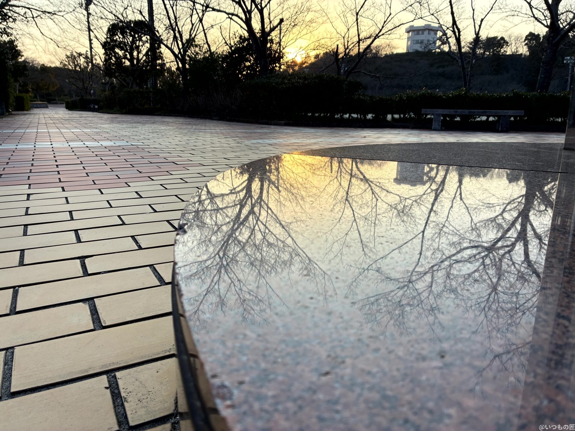 iPhone16e カメラ
iPhone16eで撮影した風景写真