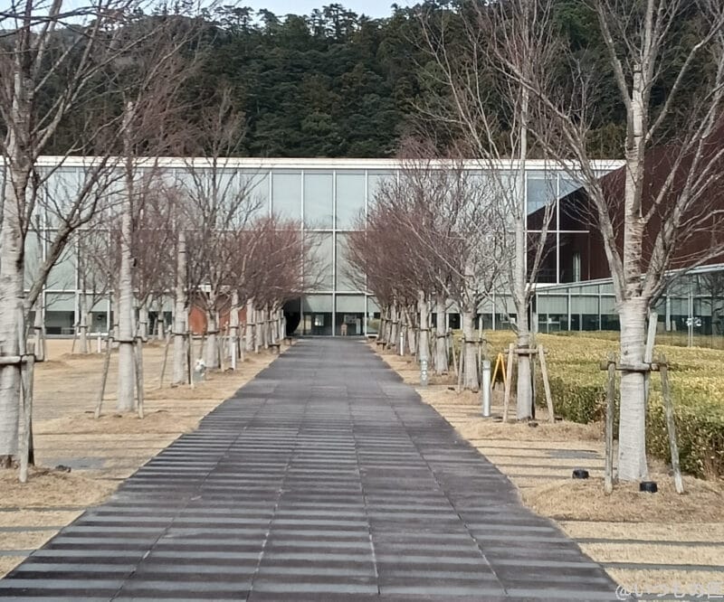 oppo a3 5gの風景写真を切り抜き・拡大した写真 | ガジェットレビューの匠 Galaxy A25 5G カメラ OPPO A3 5Gの風景写真を切り抜き・拡大した写真