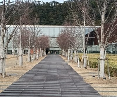oppo a3 5gの風景写真を切り抜き・拡大した写真 | ガジェットレビューの匠 Galaxy A25 5G カメラ OPPO A3 5Gの風景写真を切り抜き・拡大した写真