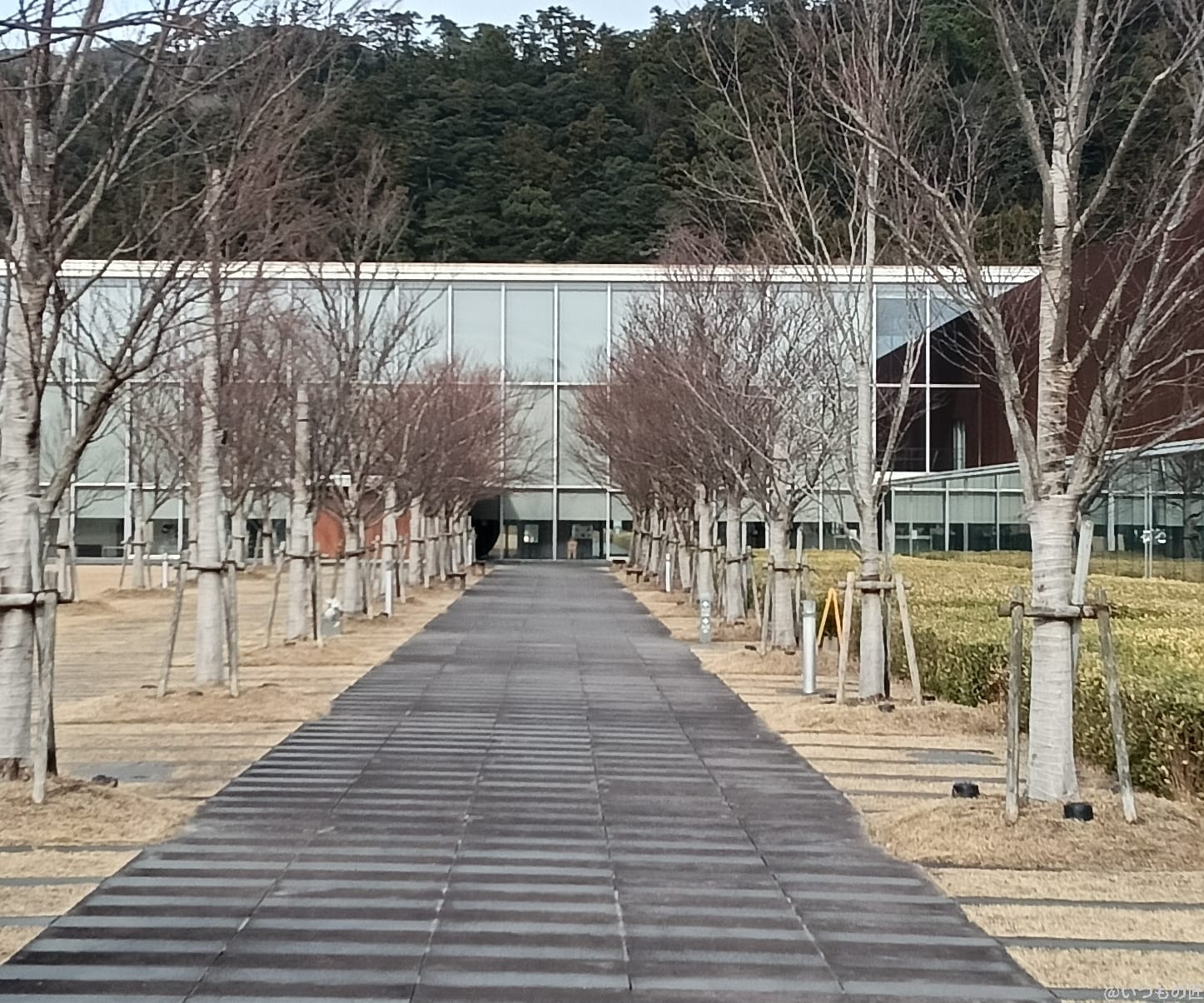 Galaxy A25 5G カメラ
OPPO A3 5Gの風景写真を切り抜き・拡大した写真