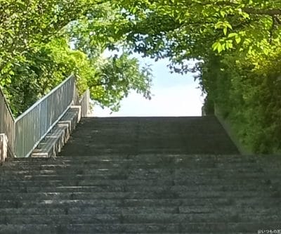 moto g64 5gの風景写真を切り抜き・拡大した写真 | ガジェットレビューの匠 Galaxy A25 5G カメラ moto g64 5Gの風景写真を切り抜き・拡大した写真