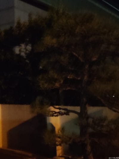 建物を暗所でとらえた一枚 | ガジェットレビューの匠 OPPO Reno13 A カメラ 建物を暗所でとらえた一枚