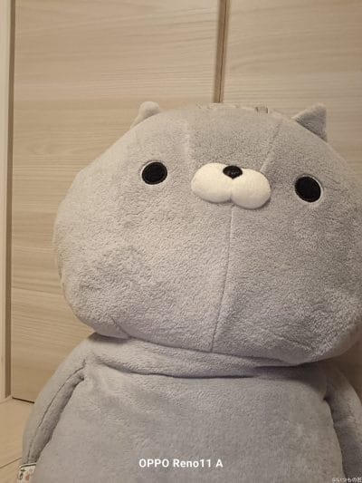 室内のクマのぬいぐるみ | ガジェットレビューの匠 OPPO Reno13 A カメラ 室内のクマのぬいぐるみ
