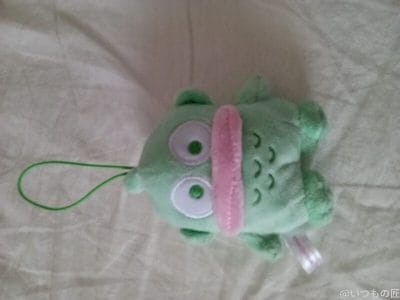 緑色のマスコット人形 | ガジェットレビューの匠 AQUOS wish5 カメラ 緑色のマスコット人形