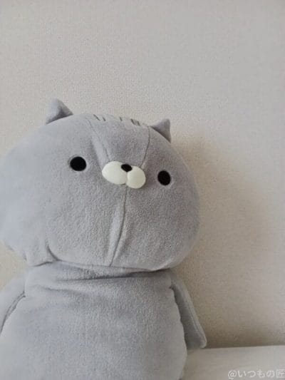 グレーの熊のぬいぐるみ | ガジェットレビューの匠 AQUOS wish5 カメラ グレーの熊のぬいぐるみ