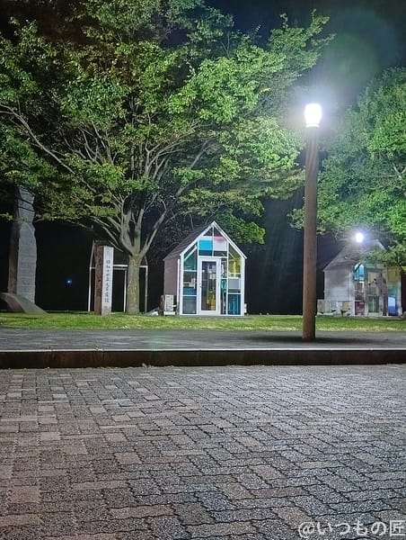 AQUOS wish5 カメラ 夜のガラス張りの小屋