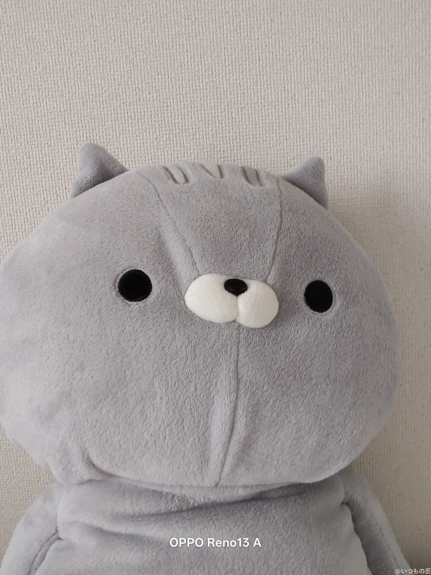 moto g66y 5G カメラ
グレーのぬいぐるみの写真