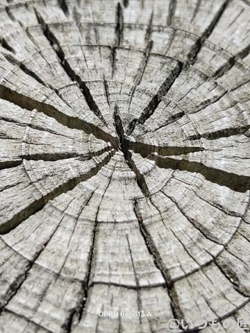 OPPO Reno13 A カメラ ひび割れた丸太の年輪