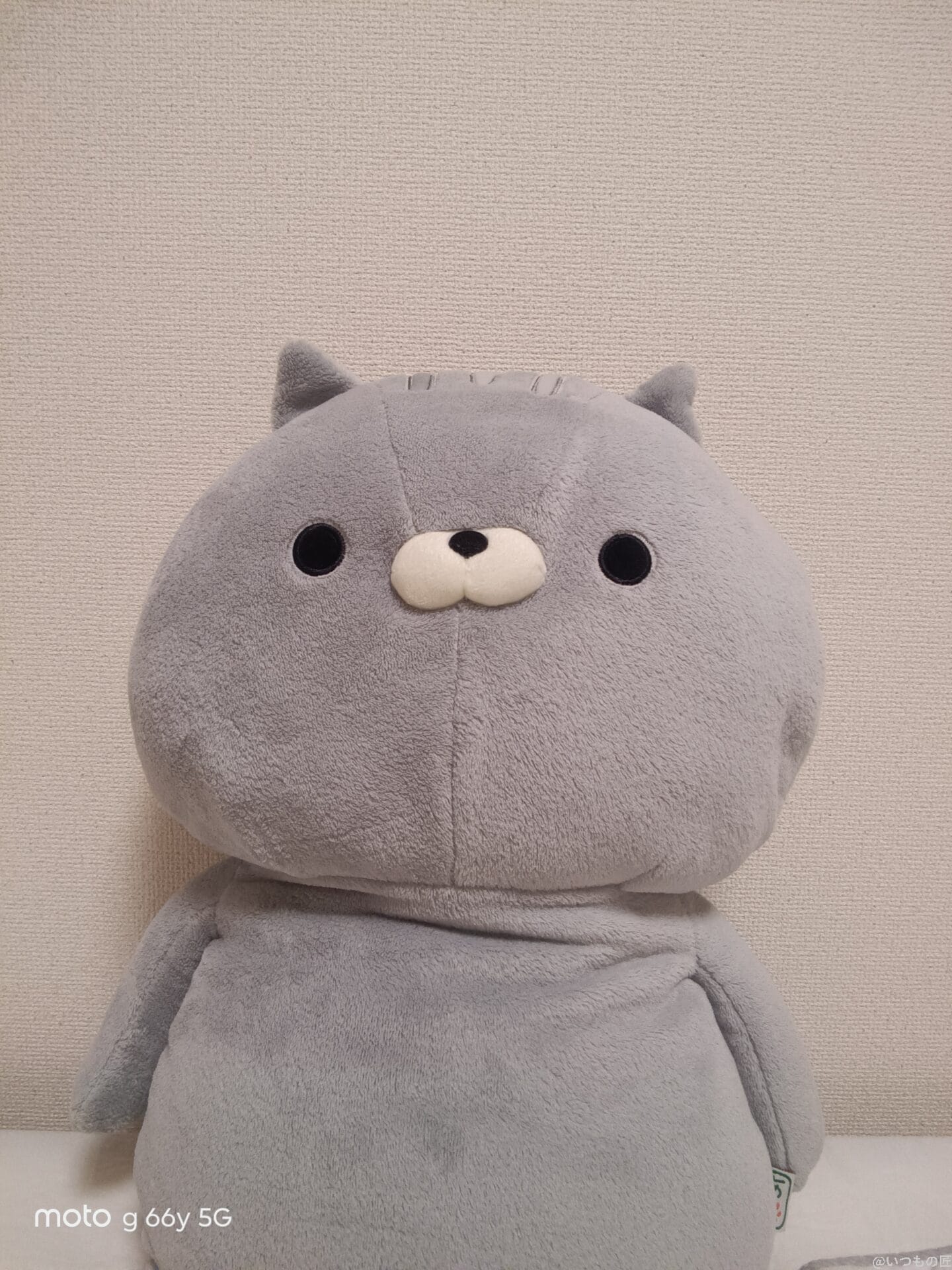 moto g66y 5G カメラ
屋内で自撮りしたクマのぬいぐるみ
