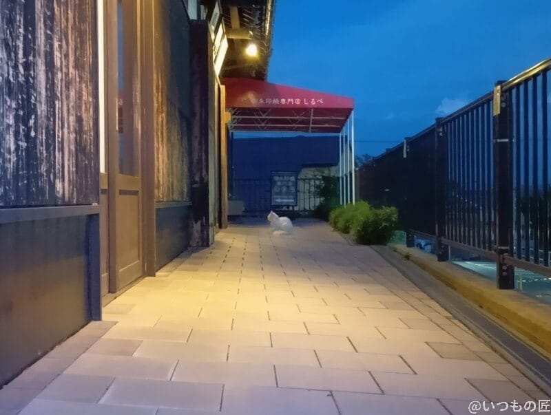 AQUOS wish5 カメラ
店の前でくつろいだ様子の白猫