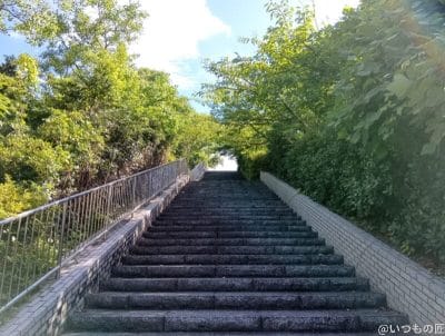 木々に囲まれた階段 | ガジェットレビューの匠 AQUOS wish5 カメラ 木々に囲まれた階段