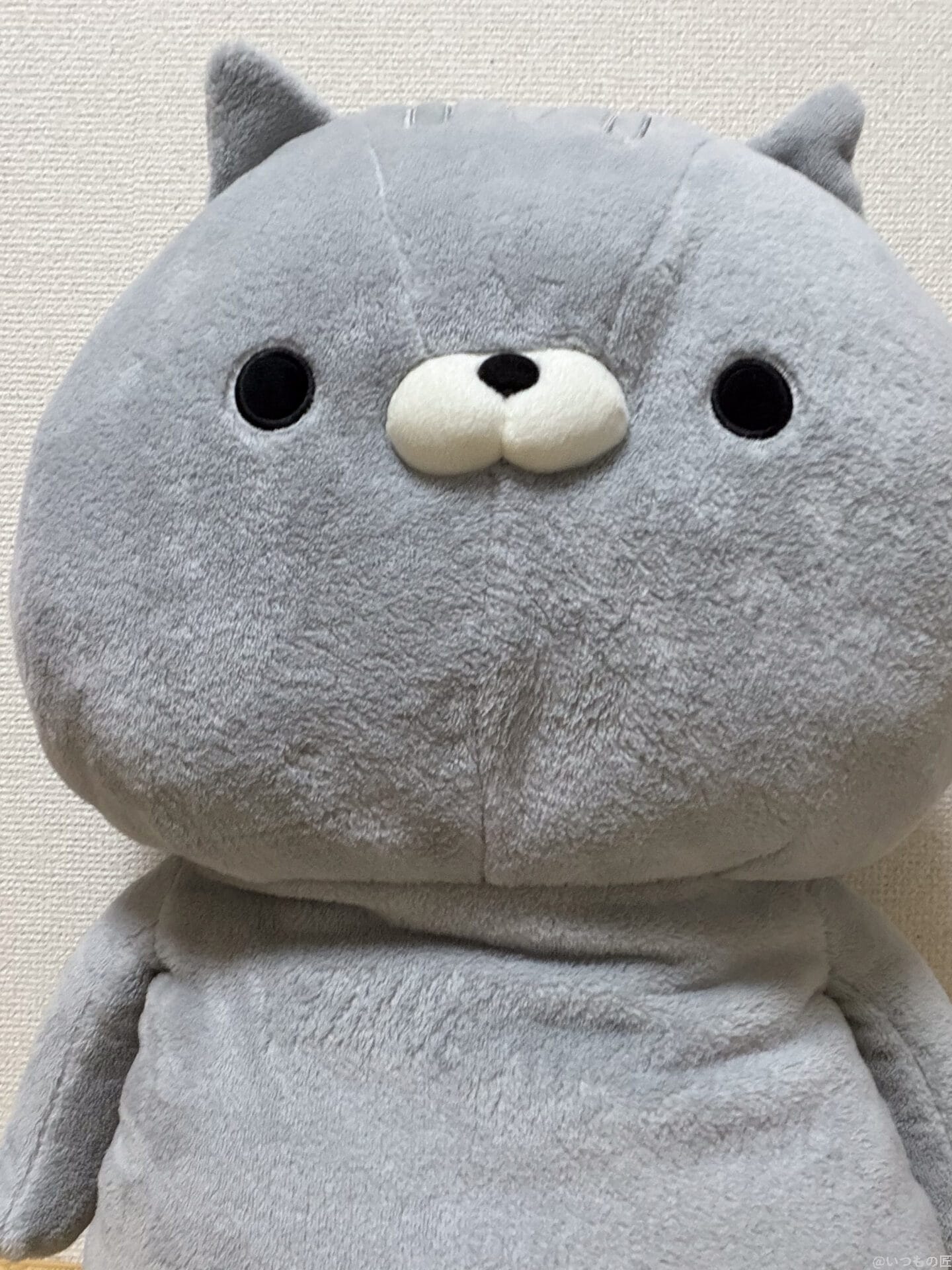 iPhone 17 Pro カメラ
グレーのクマのぬいぐるみ