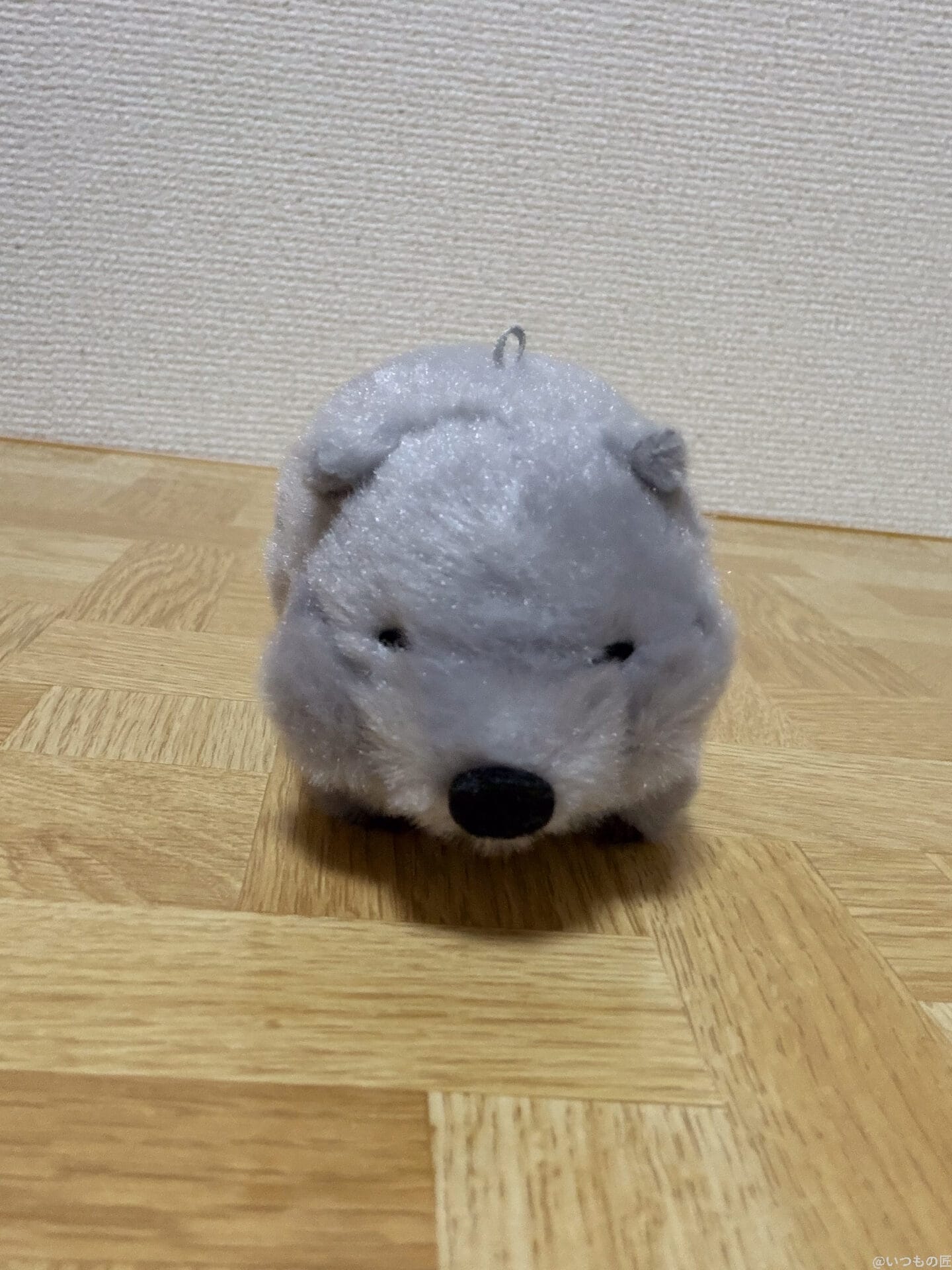 iPhone 17 Pro カメラ
ねずみのぬいぐるみ