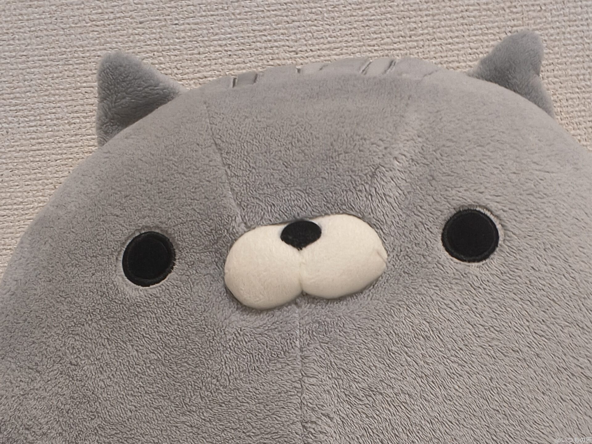 motorola edge 60s pro カメラ
グレーのクマのぬいぐるみ