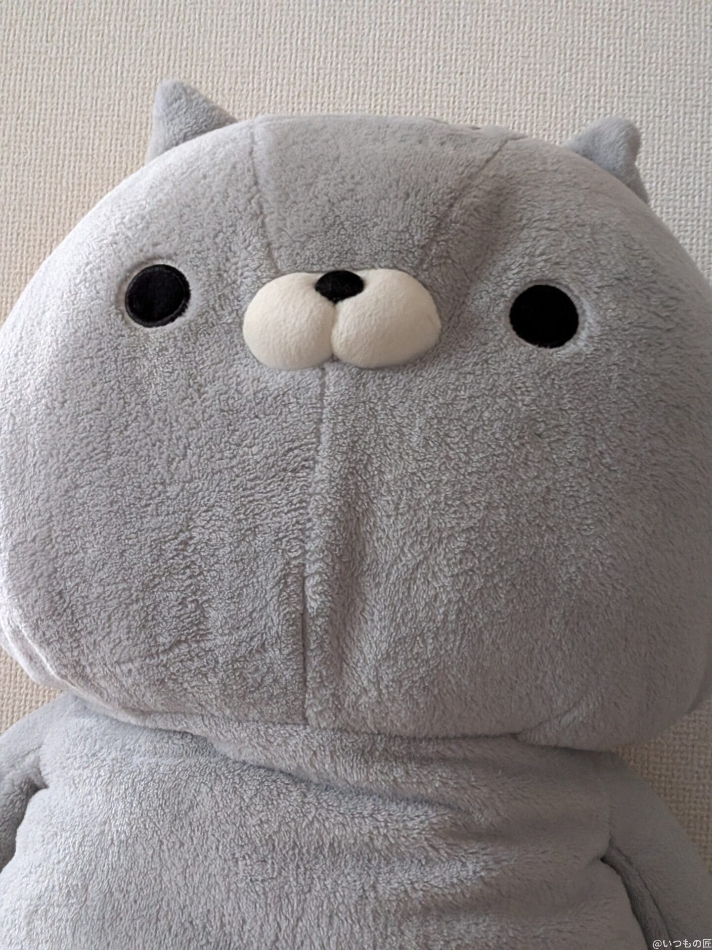 Google Pixel 10 カメラ
ビッグサイズのグレーのぬいぐるみ