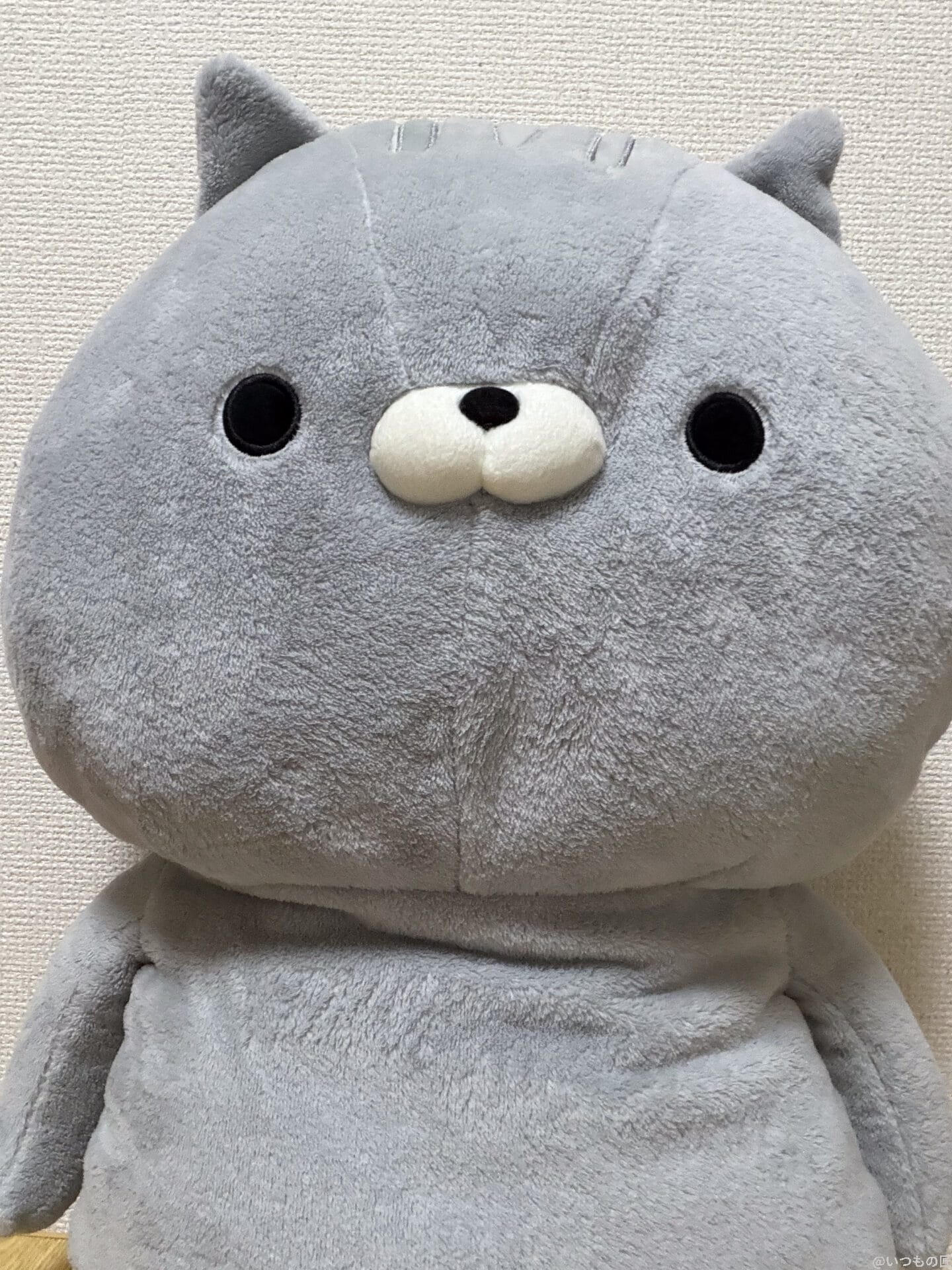 iPhone Air カメラ
人物の代わりにクマのぬいぐるみを自撮り撮影した一枚