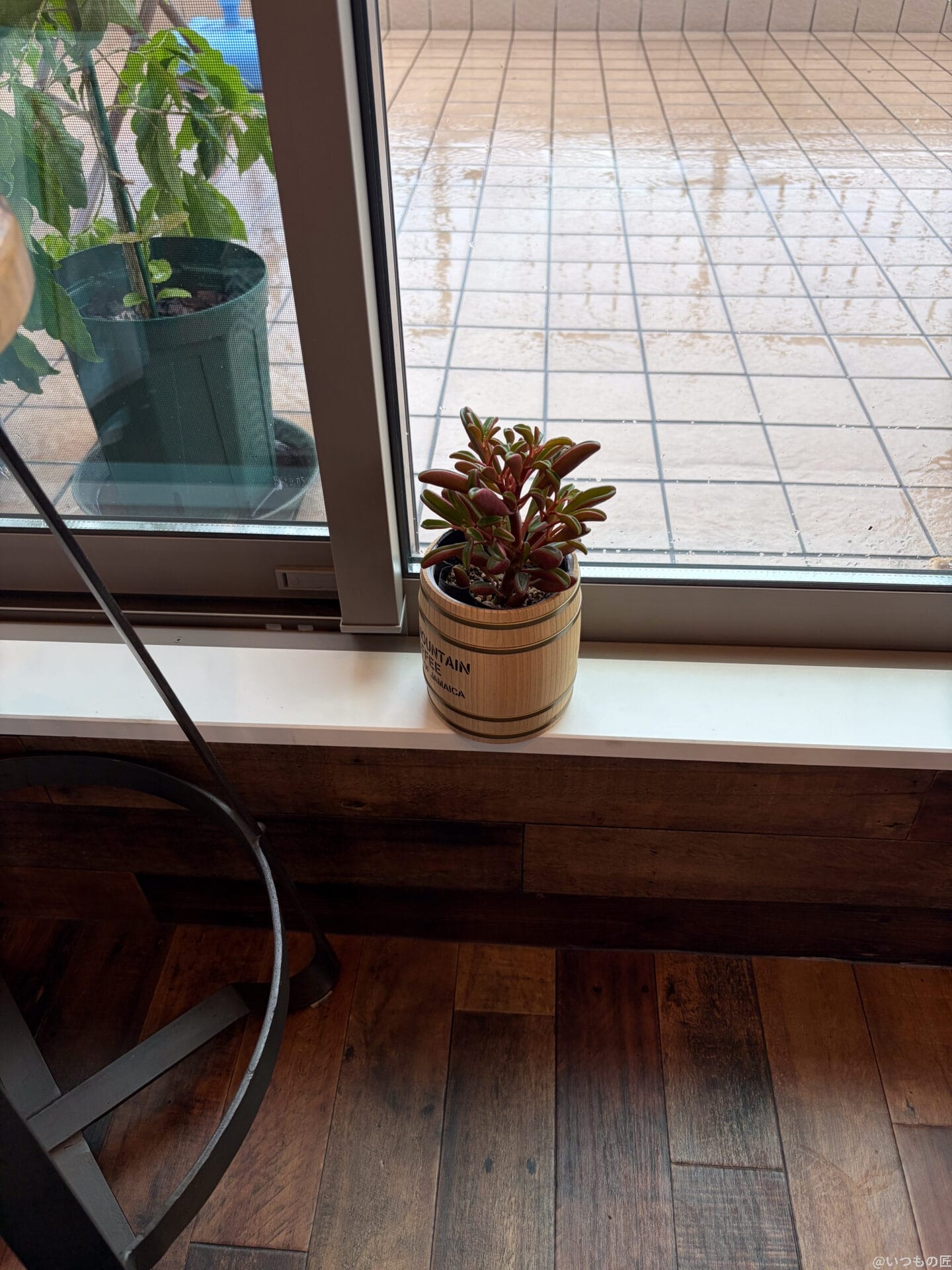 iPhone Air カメラ
窓枠に置かれた観葉植物